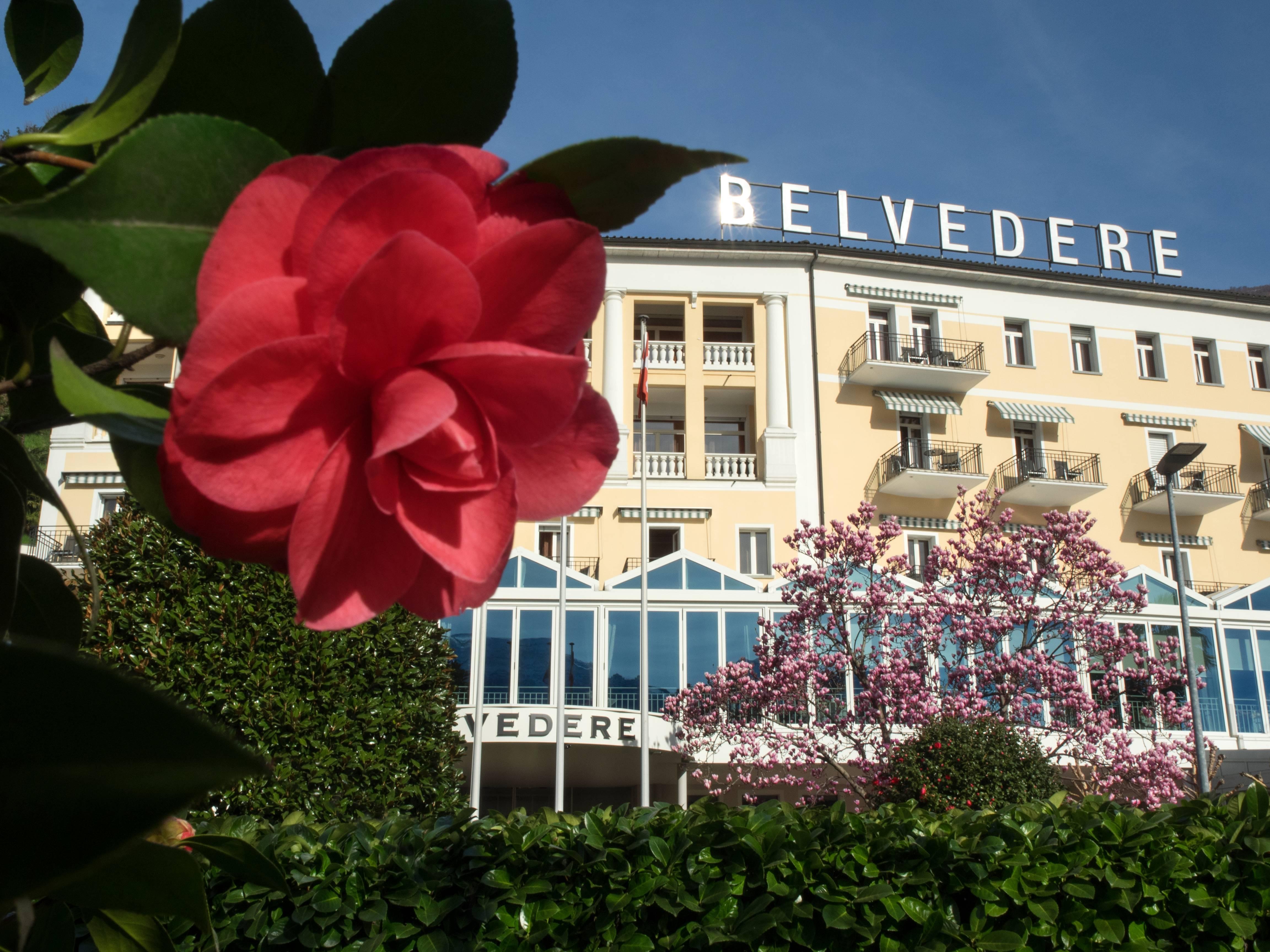 Hotel Belvedere Locarno Extérieur photo